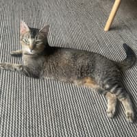 Photo of Bindy