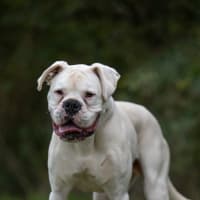 Photo of Beny