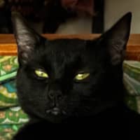 Photo of Griselda