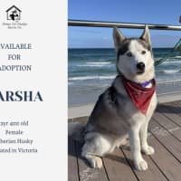 Photo of Karsha (Kay)