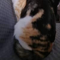 Photo of Tabitha