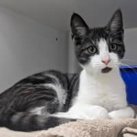Photo of Ezra