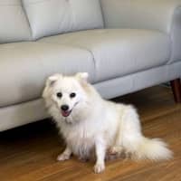 Photo of Keiko