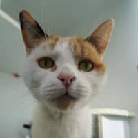 Photo of Bingo
