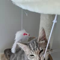 Photo of Bean