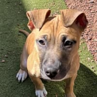 Photo of Sugar 