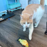 Photo of Buddy