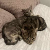 Photo of Cosmo & Teddy!