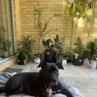 Photo of Kana