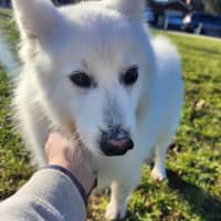 Photo of Noah