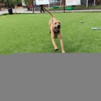 Photo of Mike Wheeler