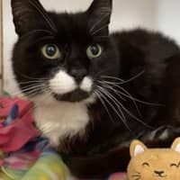 Photo of Big Best Baby Boy Bernard