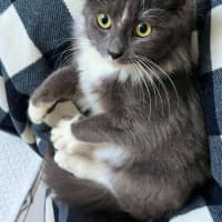 Photo of Jayla
