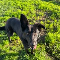 Photo of Azula