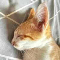 Photo of Brad