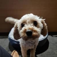 Photo of Anson Lozano