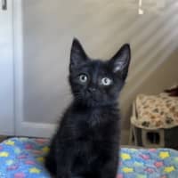 Photo of Truffles