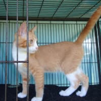 Photo of Brooke And Bruce