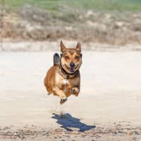 Photo of Milly Milly