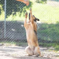 Photo of Honey