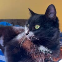 Photo of Echo