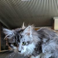 Photo of Vinny