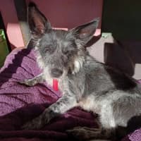 Photo of Benji & Lizzie