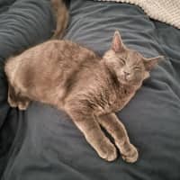 Photo of Charlie King