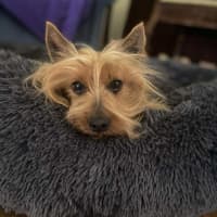 Photo of Occy