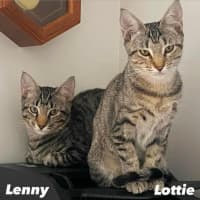 Photo of 11054/5   Lenny & Lottie