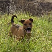 Photo of Jazz (Formerly Aza)