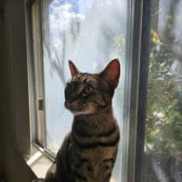 Photo of Lexi