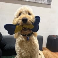 Photo of Chewy Clausen 