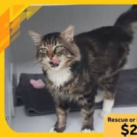 Photo of Mr. Thompson 