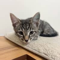 Photo of Josephine