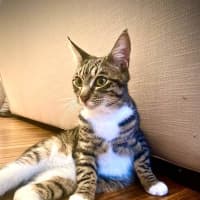 Photo of Bosco