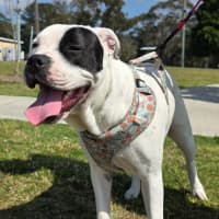 Photo of Dotti
