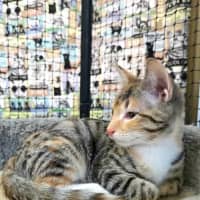 Photo of Moxie