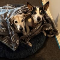 Photo of Ruby And Vincent Silvanus