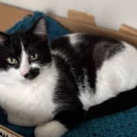 Photo of Hank & Halle