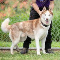 Photo of Hunter