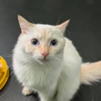 Photo of Arlo