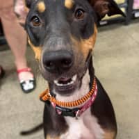 Photo of Lucy