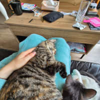 Photo of Stu / Sophie