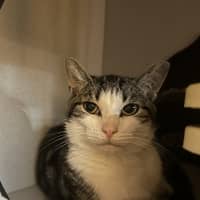 Photo of Jack