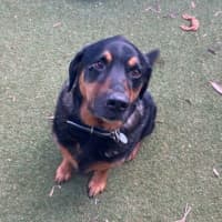 Photo of Chase