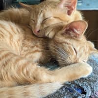 Photo of Fred & George (Aka Quentin & Quigley)