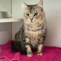 Photo of Ivy