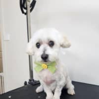 Photo of Simon Babbington