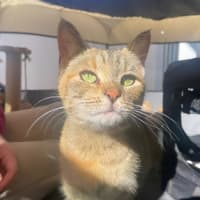 Photo of Lily & Charlie